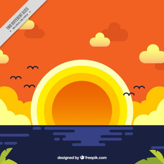 Free Vector flat sunset background