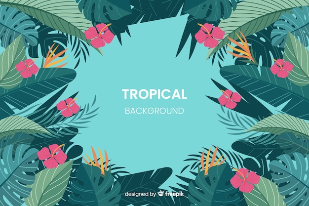 Free Vector flat tropical background