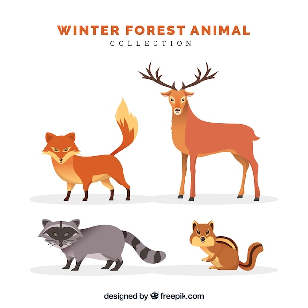 Free Vector flat winter animal collection