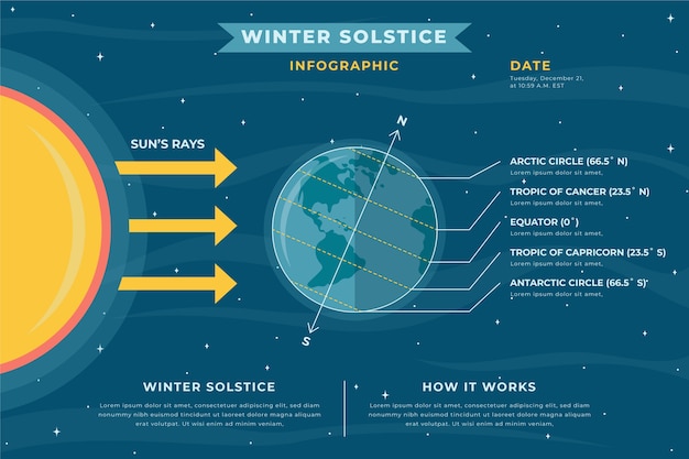 Free Vector flat winter solstice infographic template