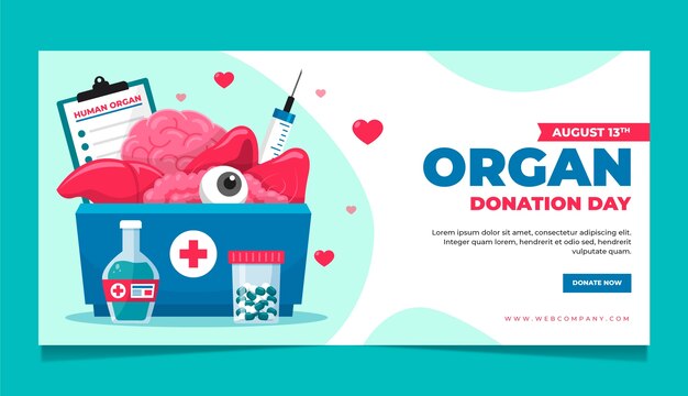 Flat world organ donation day horizontal banner template with organs in box