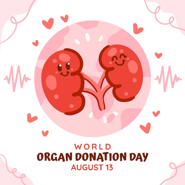 Flat world organ donation day illustration with kidneys