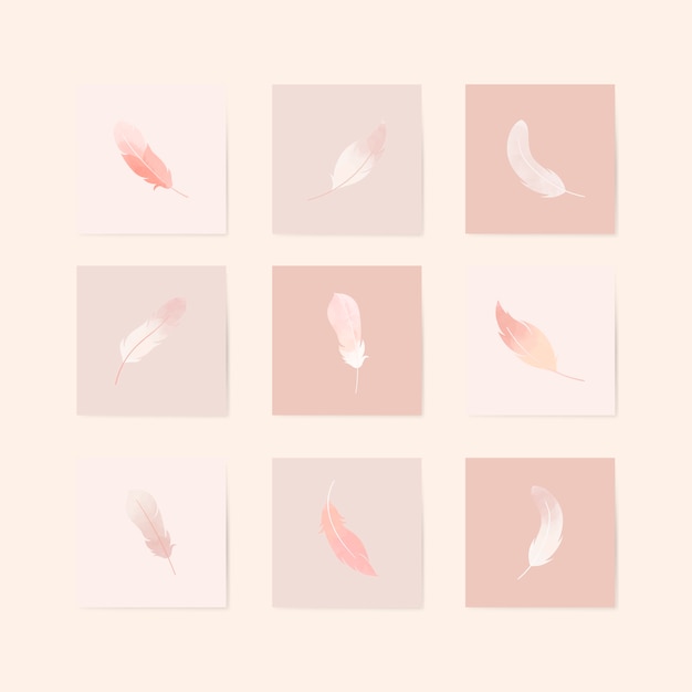 Free vector floating feathers set