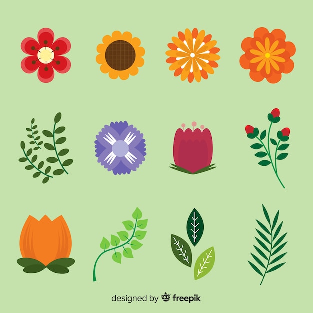 Free Vector floral element collectio