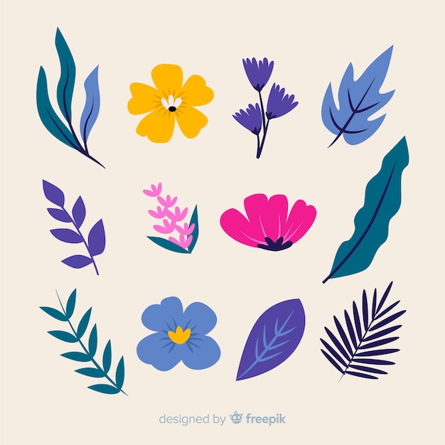 Free Vector floral element collectio