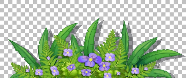 Free vector flower bush with leaves on transparent background