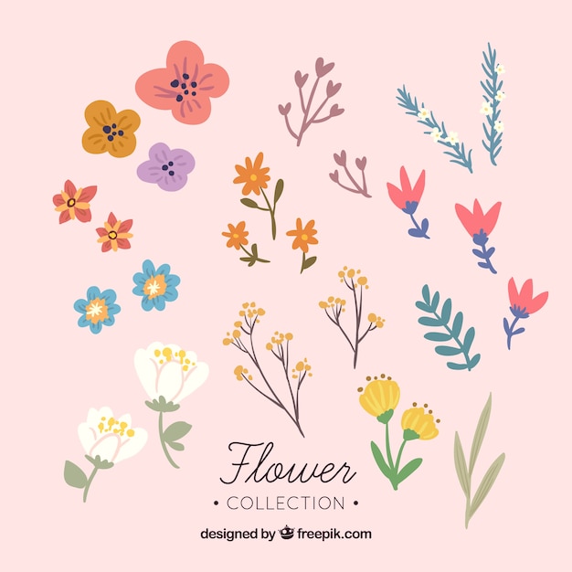 Free vector flower collection