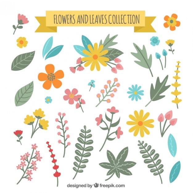 Free Vector flower and leaves collection