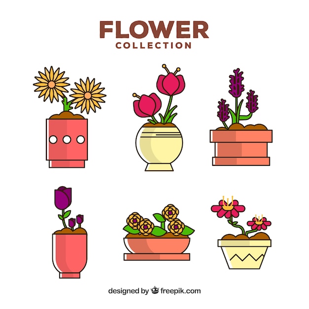 Free Vector flowers collection in flat style