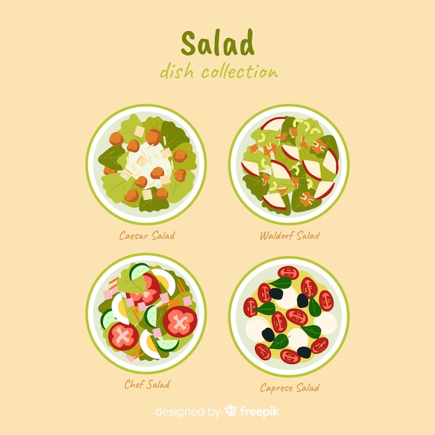 Free Vector food dish collection