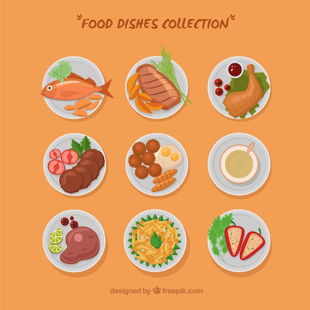 Free Vector food dishes collection with top view