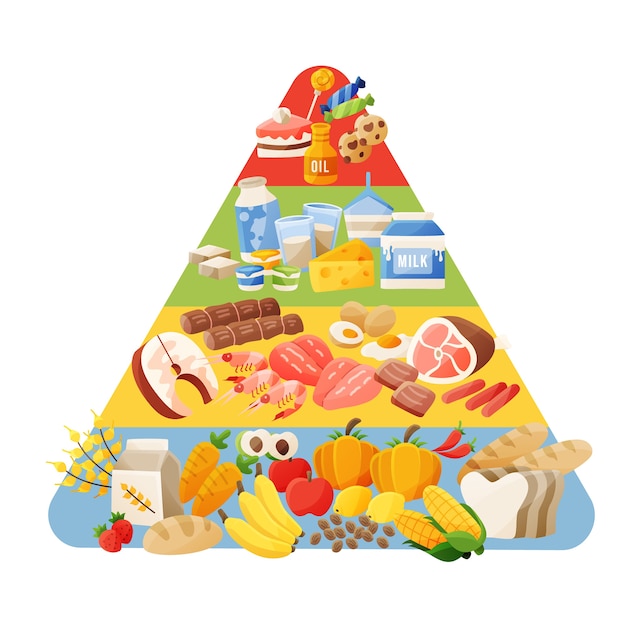 Free Vector food pyramid concept