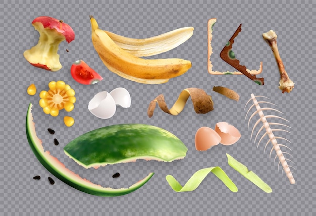 Free Vector food waste set with isolated realistic images of food scraps and organic leftovers on transparent background vector illustration