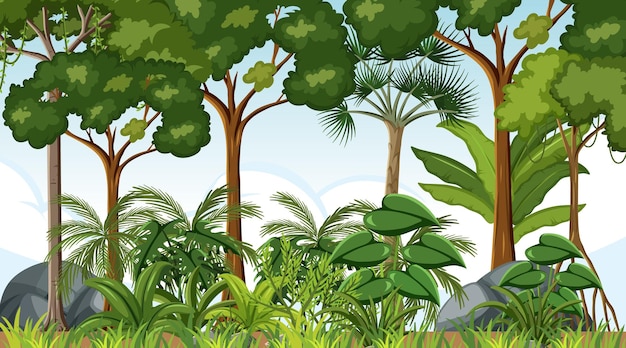 Free vector forest landscape scene at day time with many trees