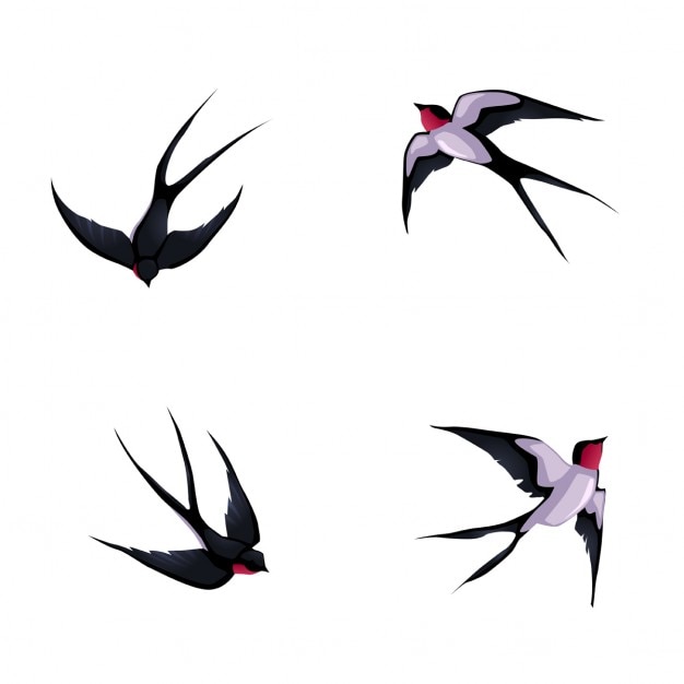 Free Vector four birds