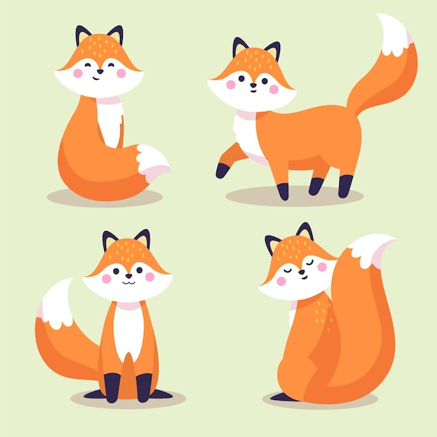 Free vector fox collection drawn