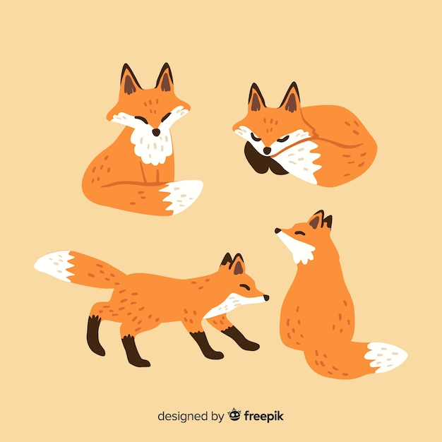 Free vector fox collection hand drawn style