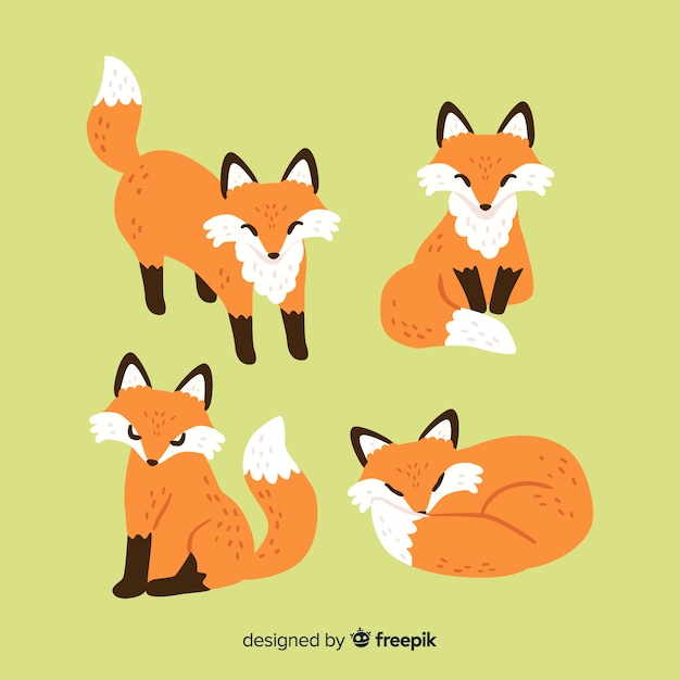 Free vector fox collection hand drawn style