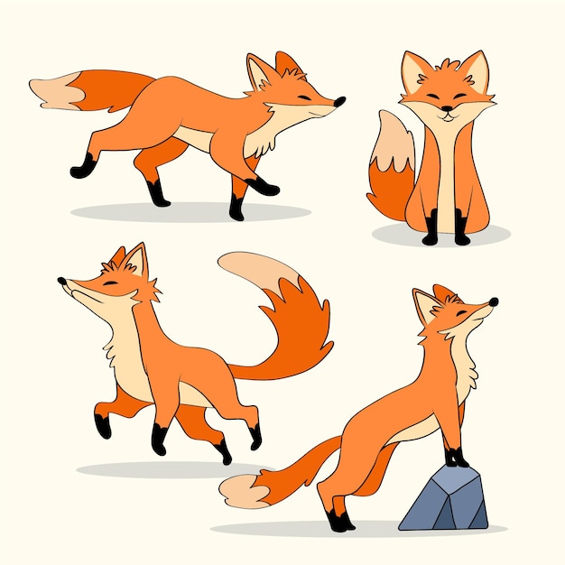 Fox collection hand-drawn