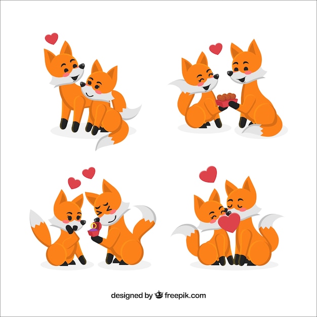 Fox couple collection for valentine