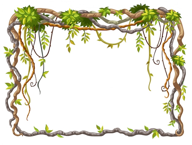 Frame of liana branches and tropical leaves