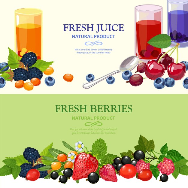 Fresh Berries Flat Banners Set 