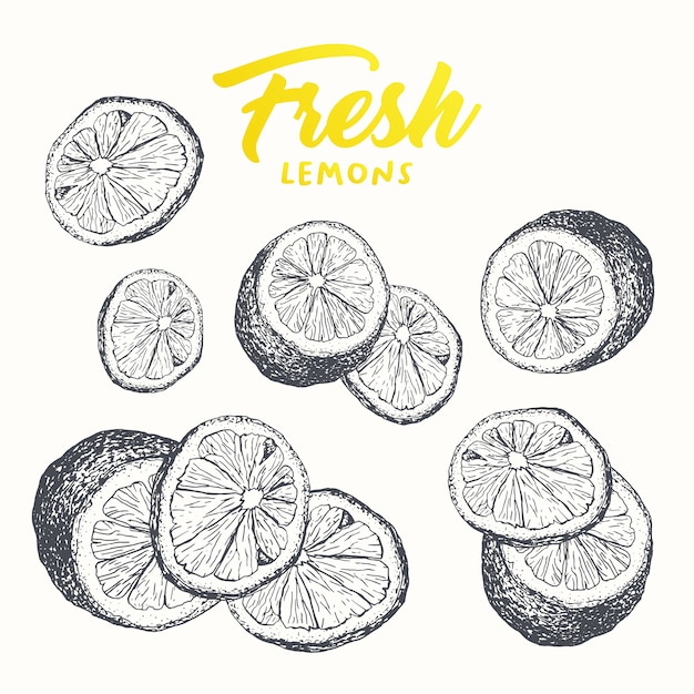 Free Vector fresh lemons banner design