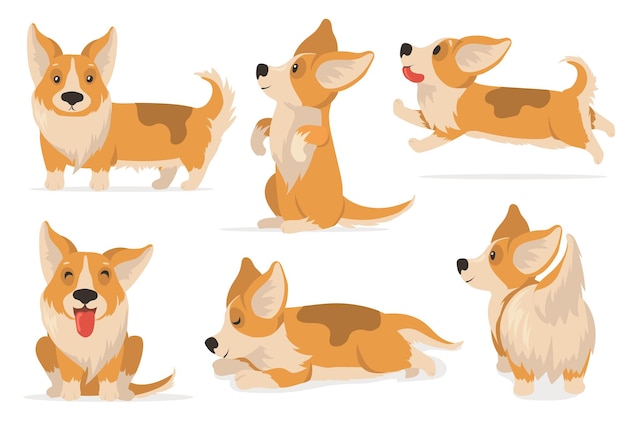 Free Vector friendly corgi set