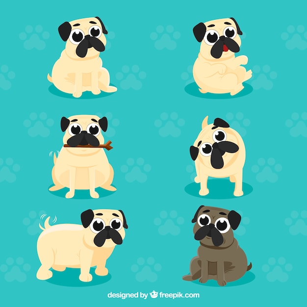 Free Vector fun pugs with cute style