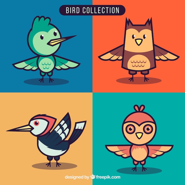 Free vector funny bird collection