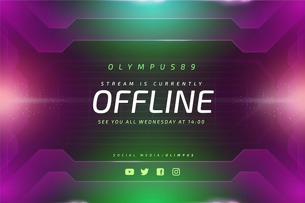 Free Vector gammer style offline twitch banner