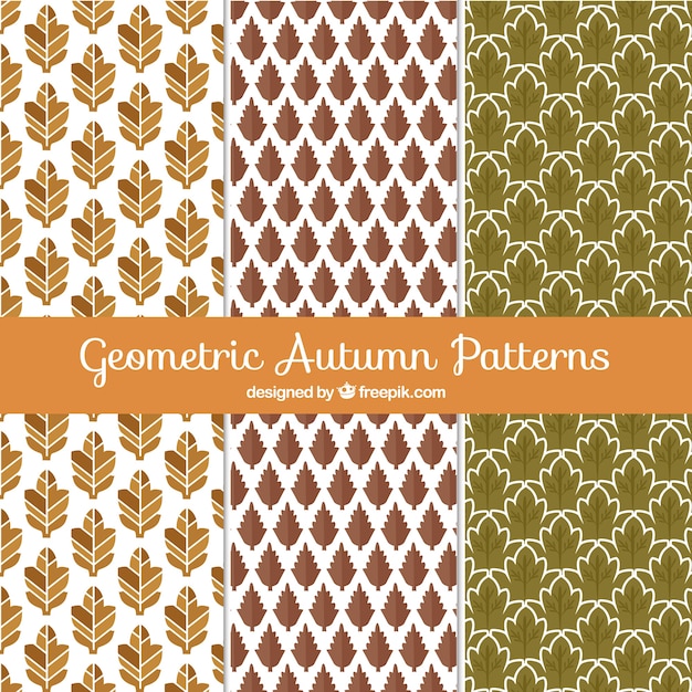 Free vector geometric autumn pattern collection