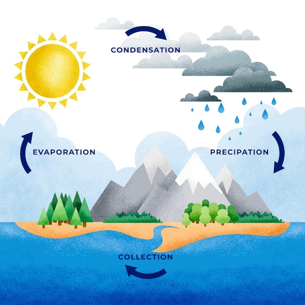 Free Vector geometric infographic of water cycle