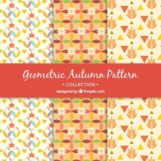 Free vector geometric patterns of autumn