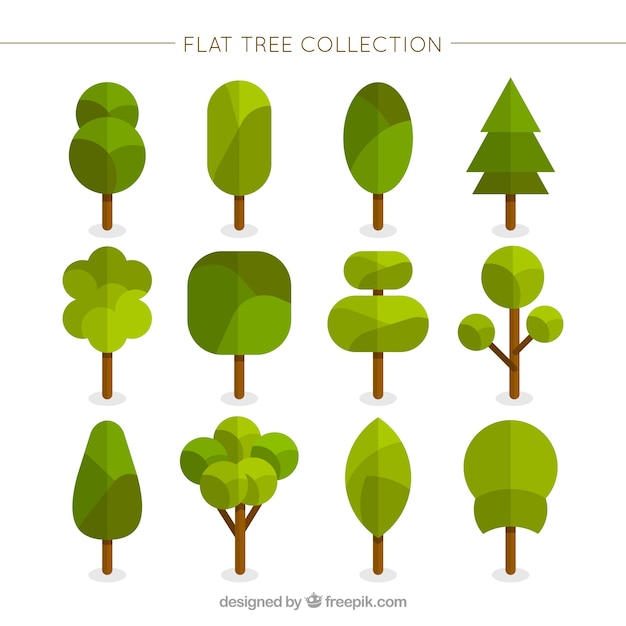 Free vector geometric trees in flat style