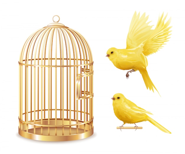 Free Vector golden canary cage set