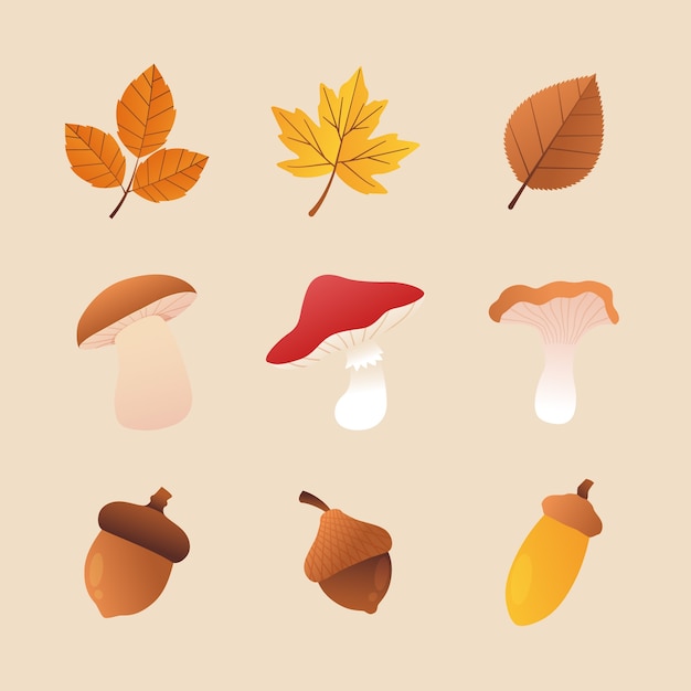 Free vector gradient elements collection for autumn celebration