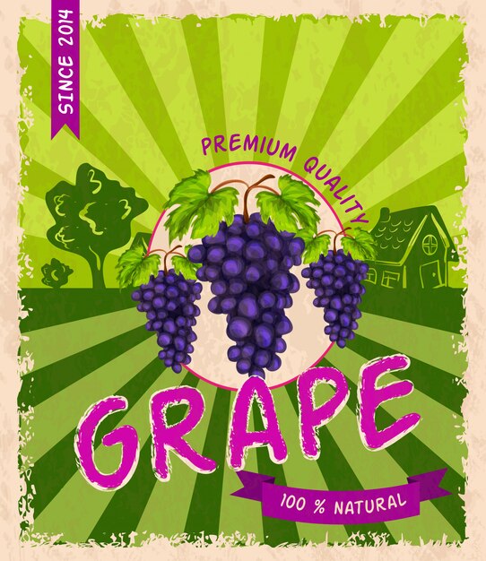 Grape retro poster