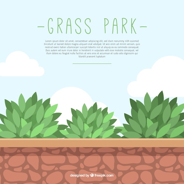 Grass park background