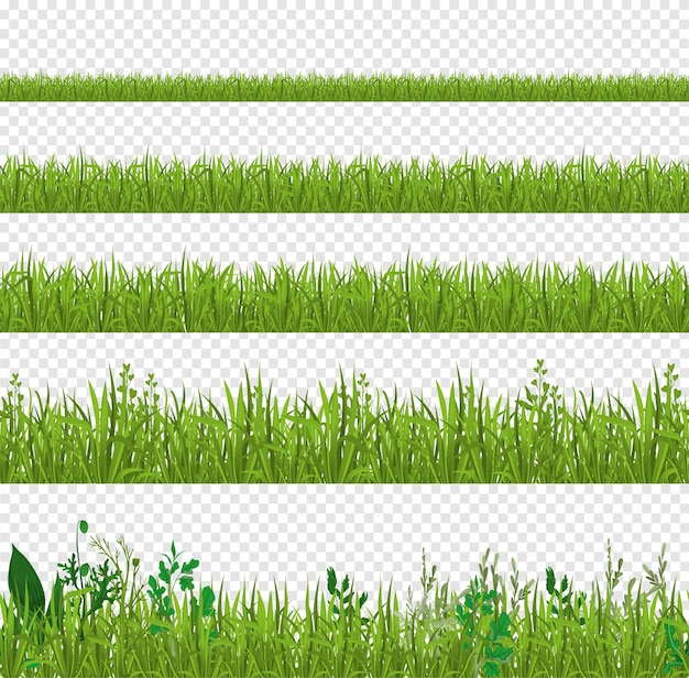 Free Vector grass set of isolated side views of fresh leaves with detailed row isolated on transparent background vector illustration