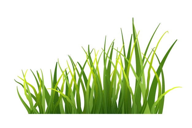 Free Vector green grass realistic fresh spring plants isolated on transparent background