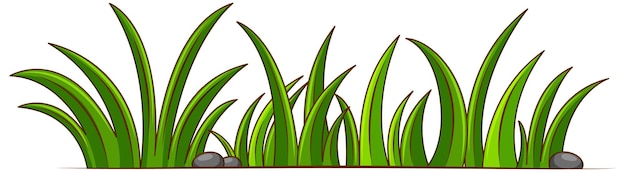 Free vector green grass on white background