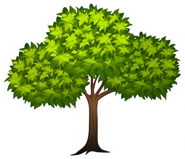 Free Vector a green tree 