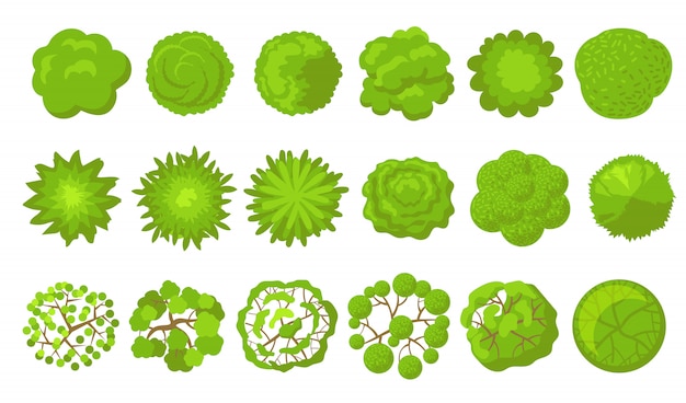 Free vector green trees set