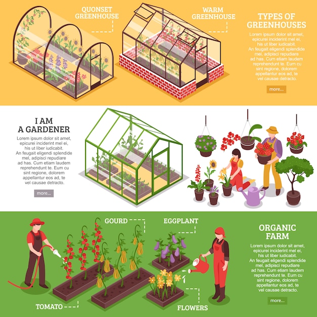 Free Vector greenhouse banner set