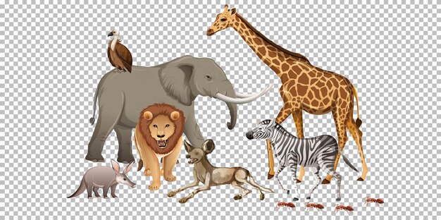 Group of wild african animal on transparent background