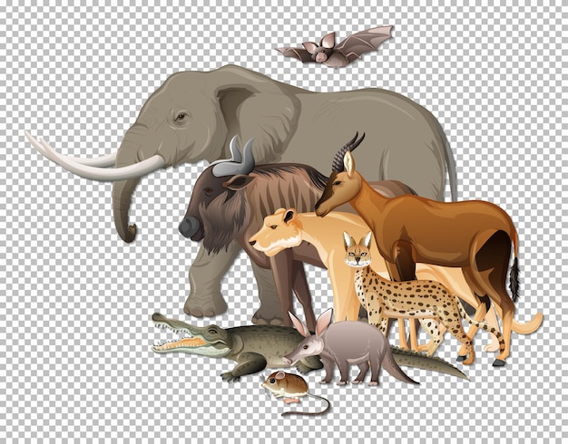 Group of wild african animals on transparent background