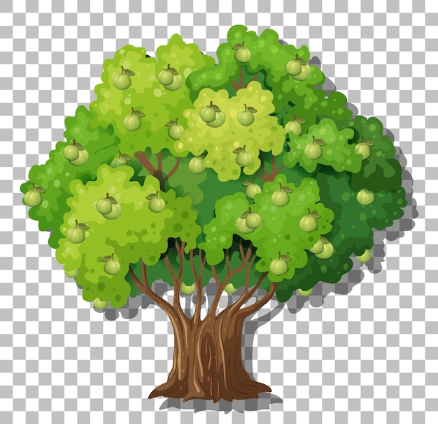 Free vector guava tree on transparent background