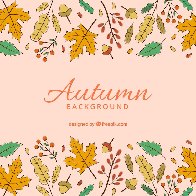 Free Vector hand drawn autumn background with colorful style