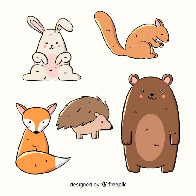 Hand drawn autumn forest animal collection